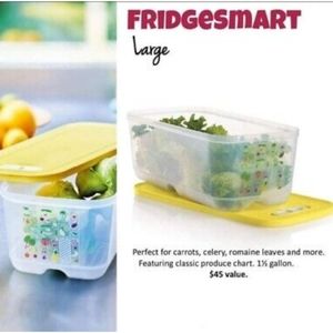 New Tupperware.  Large FridgeSmart Container.  Holds 1 1/2 Gallon